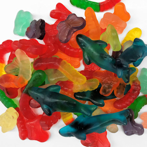 History Gummi Candies