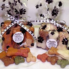 Wynken Bon Bon Tee, Candy Dog main image 1
