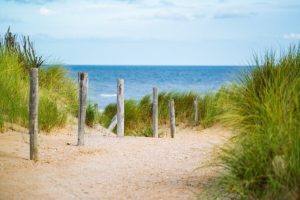 Saltwater Taffy: A Boardwalk Favorite Without a Drop of Saltwater